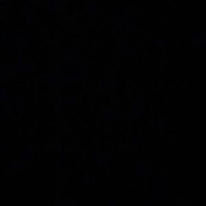 Meet your Posher, Armando